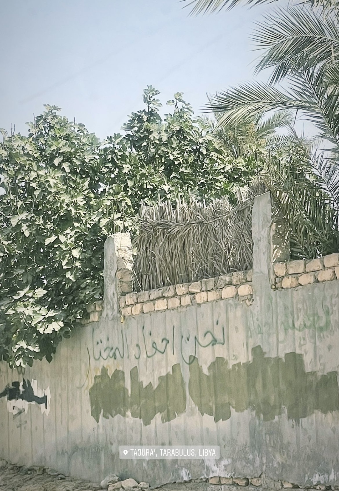 Aus der Realitรคt wird Fantasie geboren | Fantasie als Widerstand